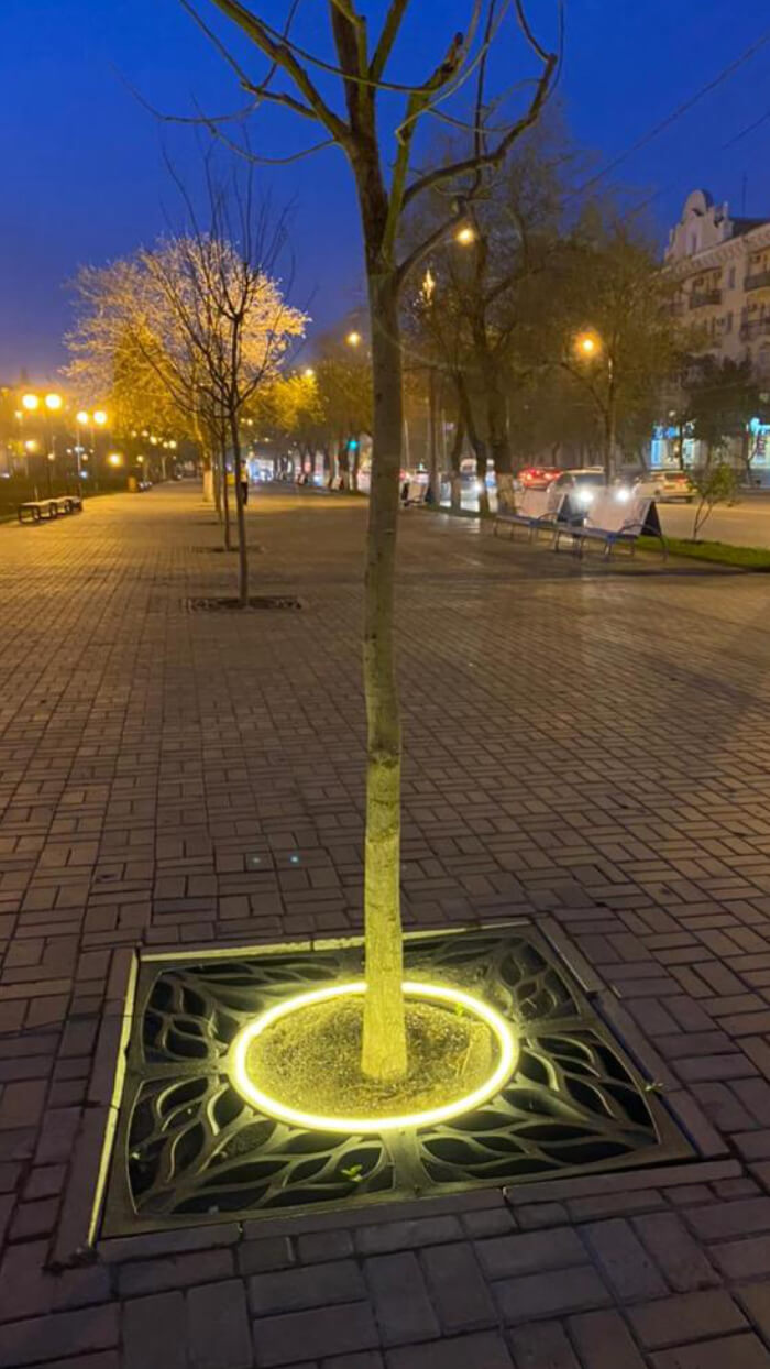 Приствольная решетка для дерева ZKING CRUST 1.2х1.2м Черная в Батайске фото